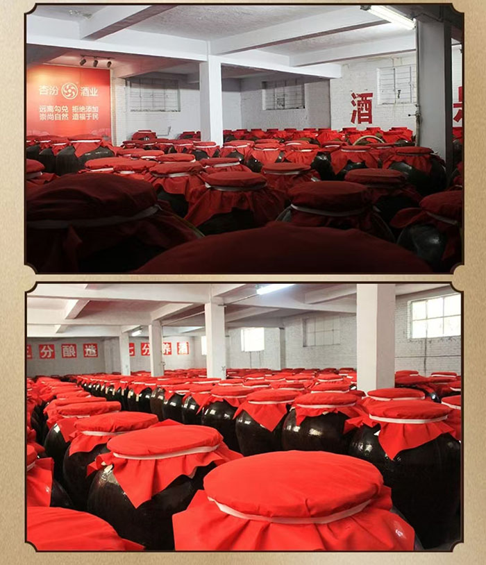 圣蒜忠泉1-10.jpg