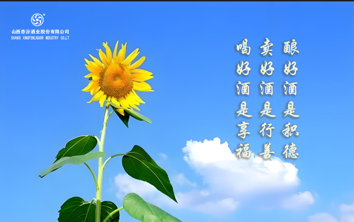 5555555555.jpg